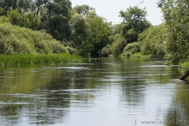 Złotoria, Park Miejski na Bydgoskim Przedmieściu i Toruń cz. 5