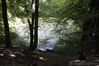 Dolina Bogdanki, Meteoryt Morasko i Park Cytadela w Poznaniu