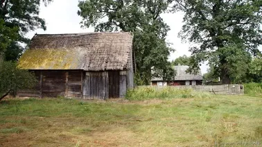 Na trasie Świerczyna-Łazińsk I