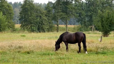 Ranczo Stara Kaźmierka