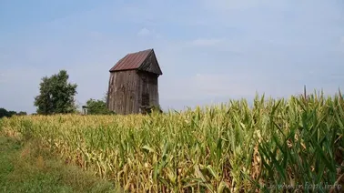 Stara Kaźmierka- wiatrak