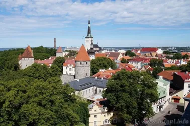 Wzgórze Toompea i Dolne Miasto w Tallinnie