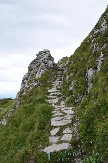 Tatry