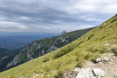 Ciemniak podejście