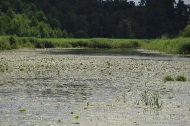 Kanał Elbląski