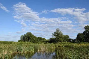 Szeląg Wielki