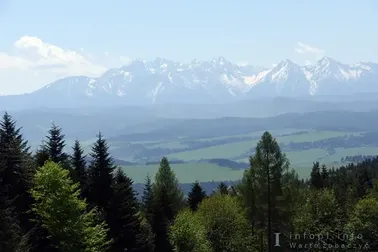 Przełęcz Szopka- widok na Tatry