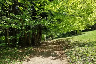 Pieniny- na szlaku