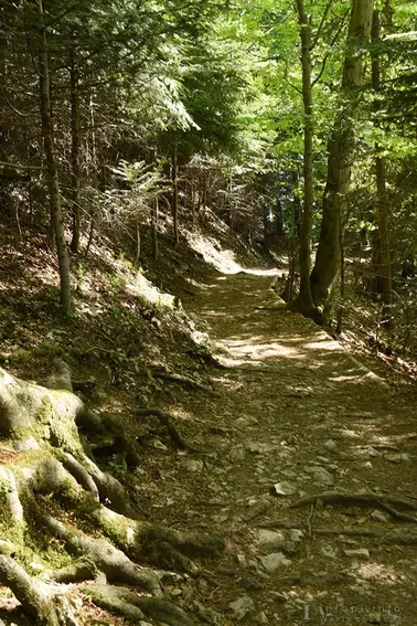 Pieniny- na szlaku