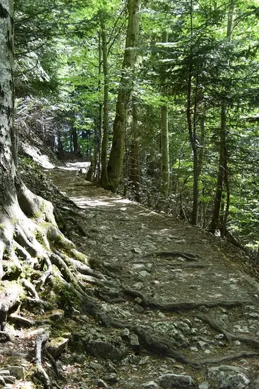 Pieniny- na szlaku