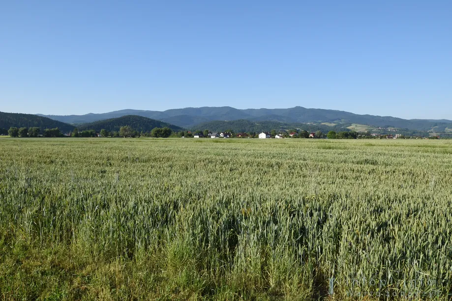 Velo Dunajec