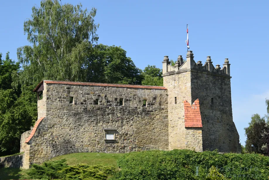 Nowy Sącz, ruina zamku