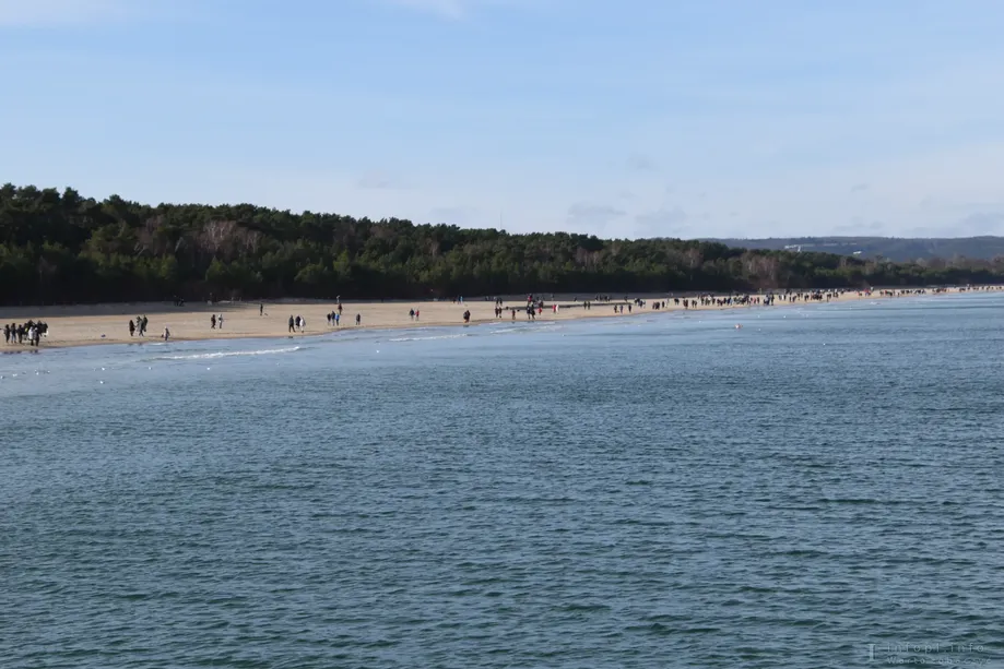 Nad Zatoką Gdańską