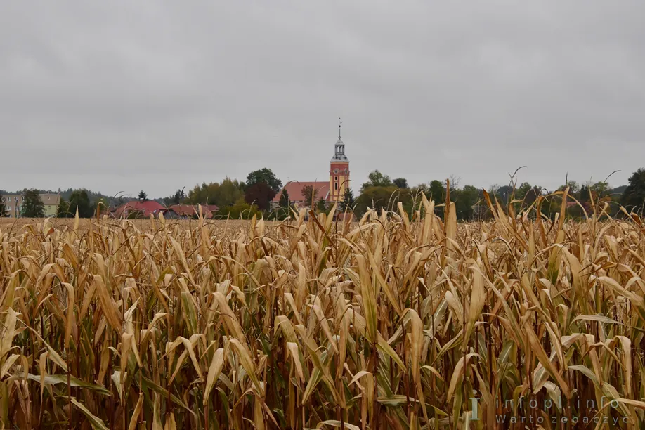 Kościół w Kamieńcu