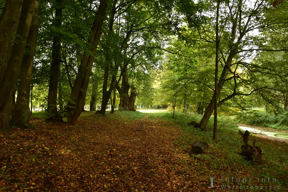 Park w Kamieńcu