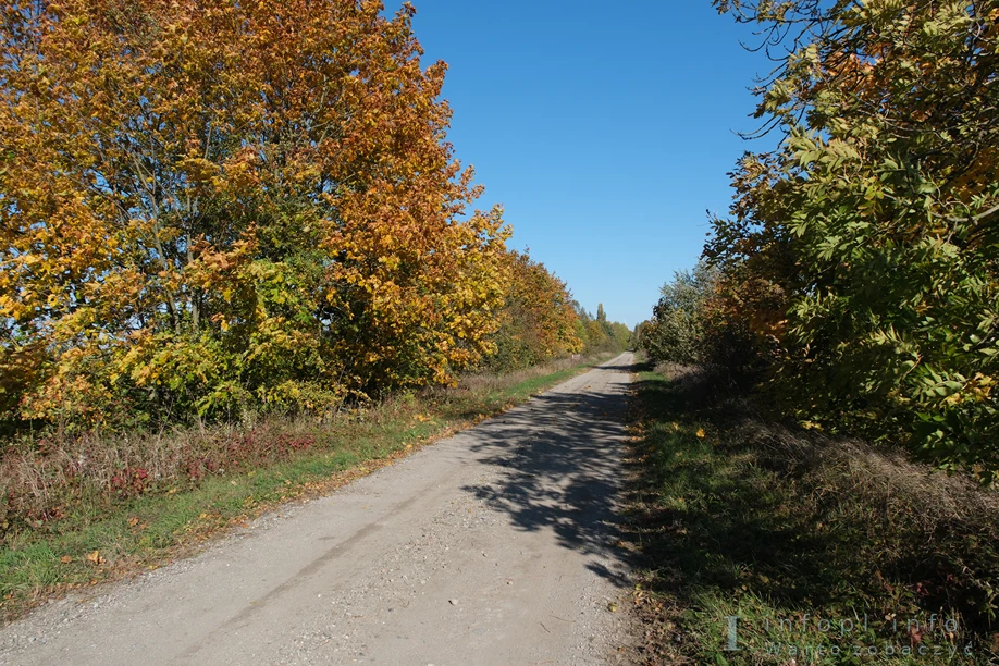 Odcinek Obrzynowo – Jakubowo