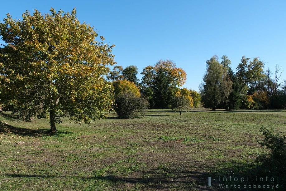 Teren pałacu w Stążkach