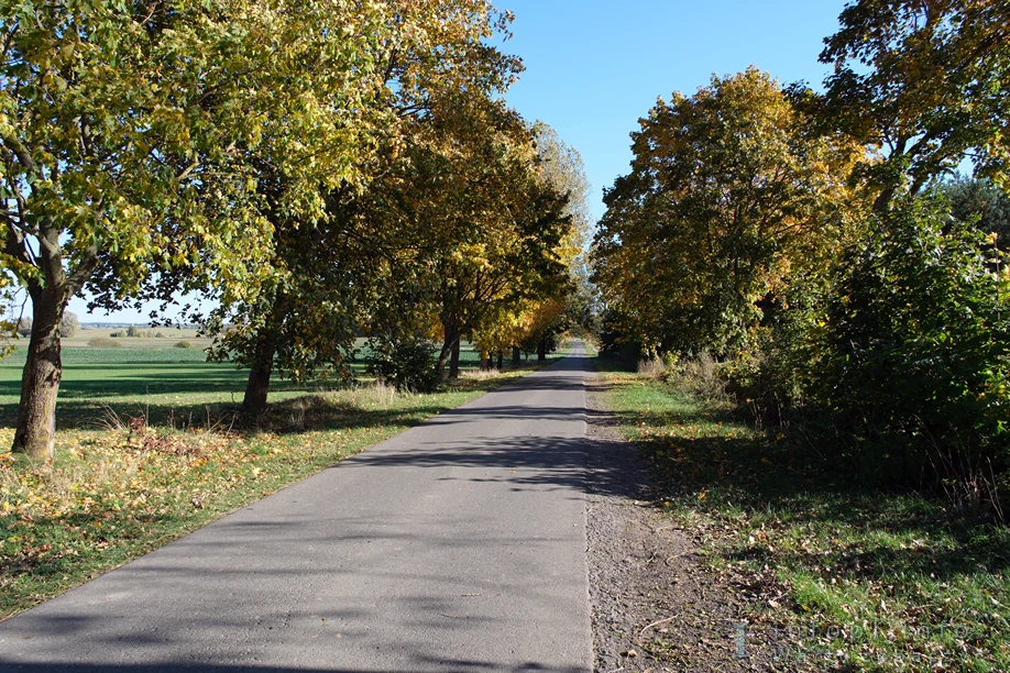 Odcinek Rodowo – Rodowo Małe