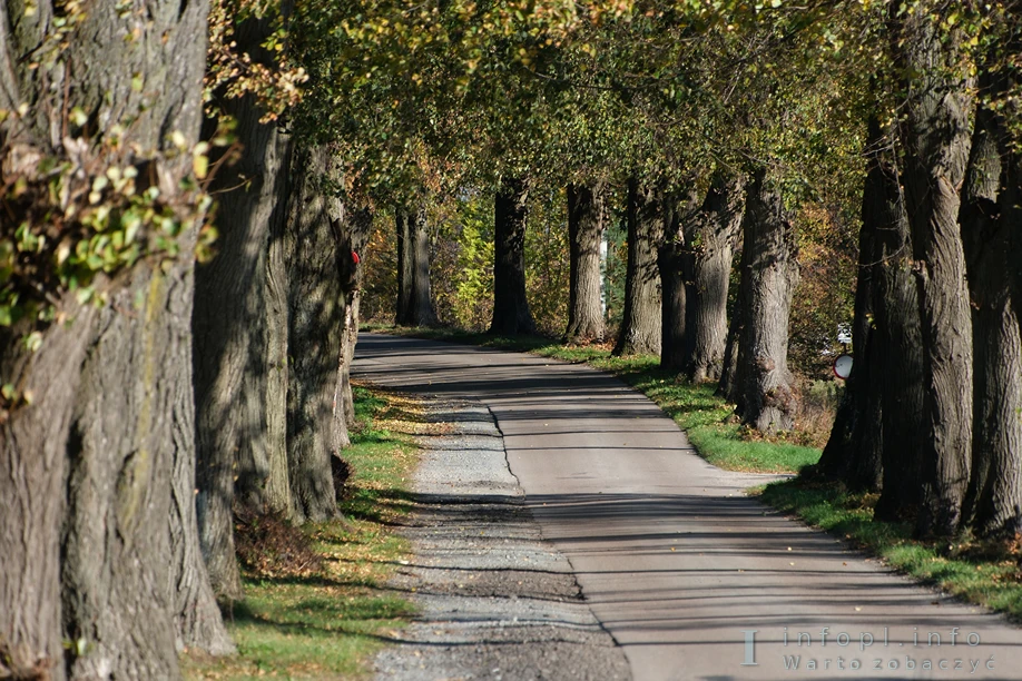 Odcinek Rodowo Małe – Górowychy