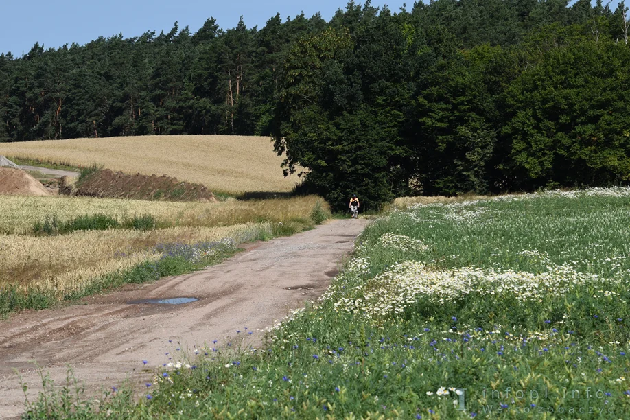 Grudziądz - Dąbrówka Królewska