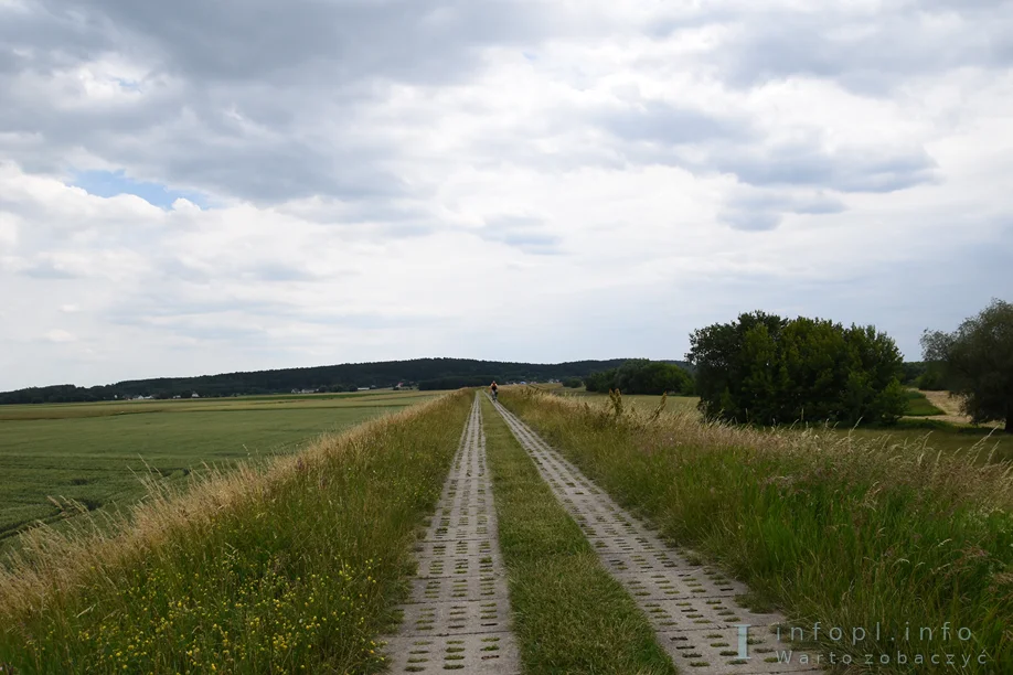 Odcinek Grudziądz – Parski