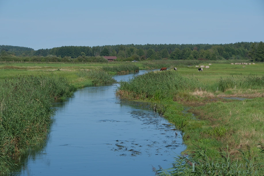 Odcinek Zielkowo – Gromoty