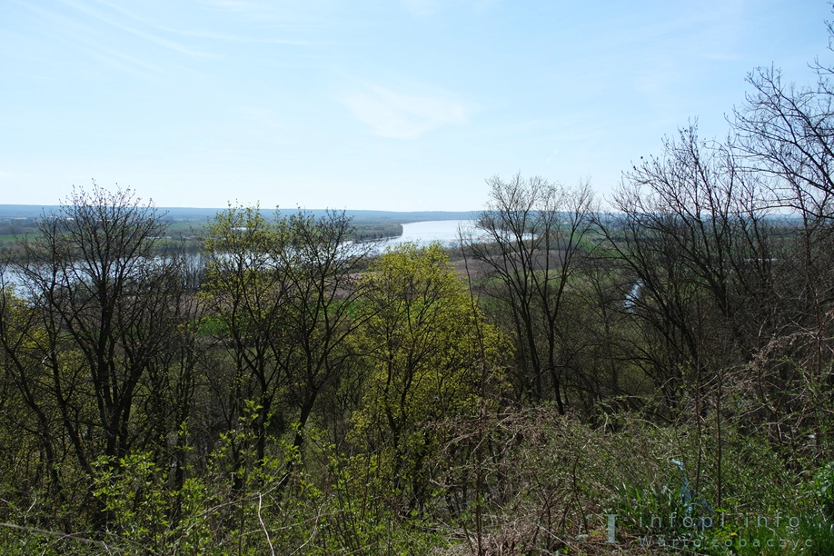 Widok na dolinę Wisły