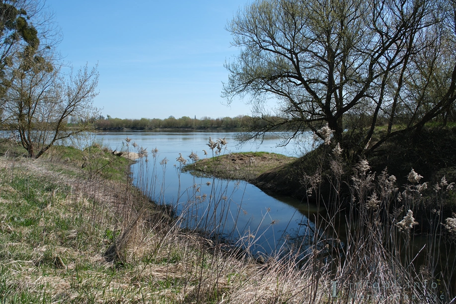 Ujście Mątawy do Wisły