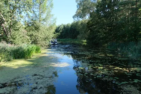 24-08-2024. Wzdłuż Kanału Elbląskiego