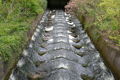 Prusy Górne i rzeka Wąska