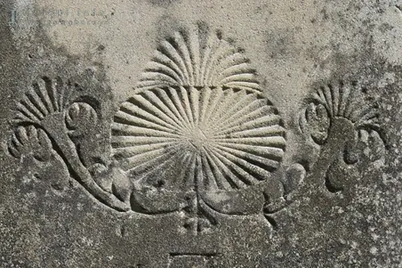 Śladami osadnictwa olęderskiego, cz. II